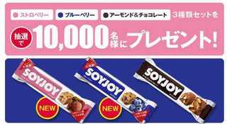 2015 5 SOYJOY.jpg