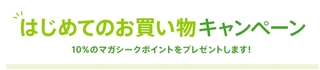 2016 6 マガシーク5.jpg
