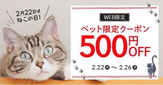 DHC　【WEB限定】2月22日はねこの日！.jpg