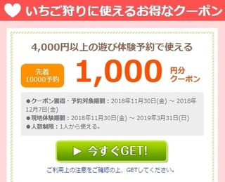 じゃらん遊び いちご狩りに使えるクーポン.jpg