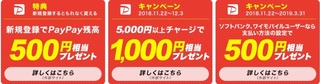 PayPay キャンペーン.jpg
