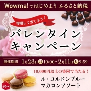 Wowma!ふるさと納税　バレンタインキャンペーン.jpg